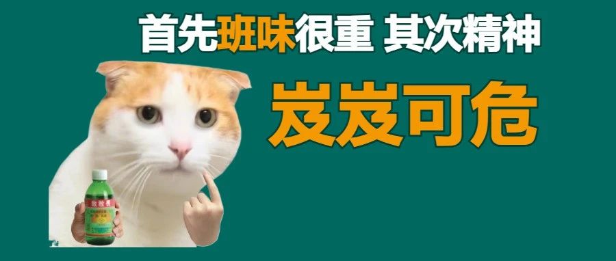 这届打工人的“班味”，已经盖过隔壁KFC疯狂星期四的炸鸡味了