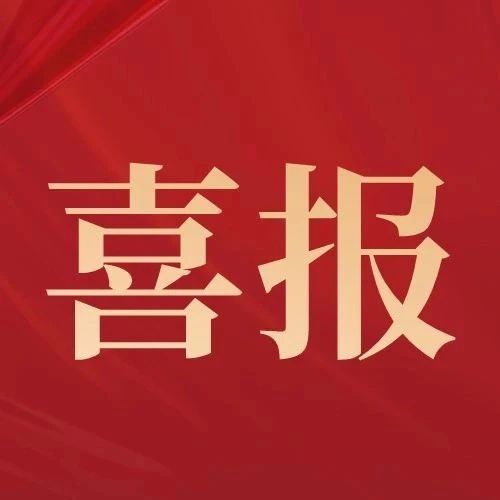 喜报！迪万伦第20次获用户满意首选品牌