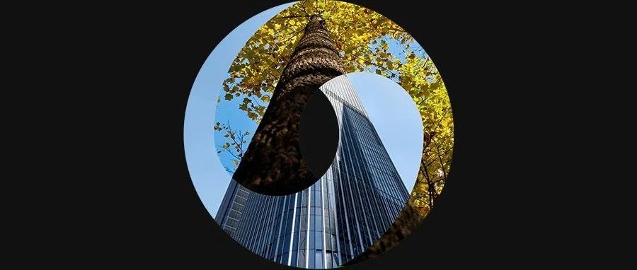 绿色发展｜A股及香港上市公司如何应对可持续披露新规？