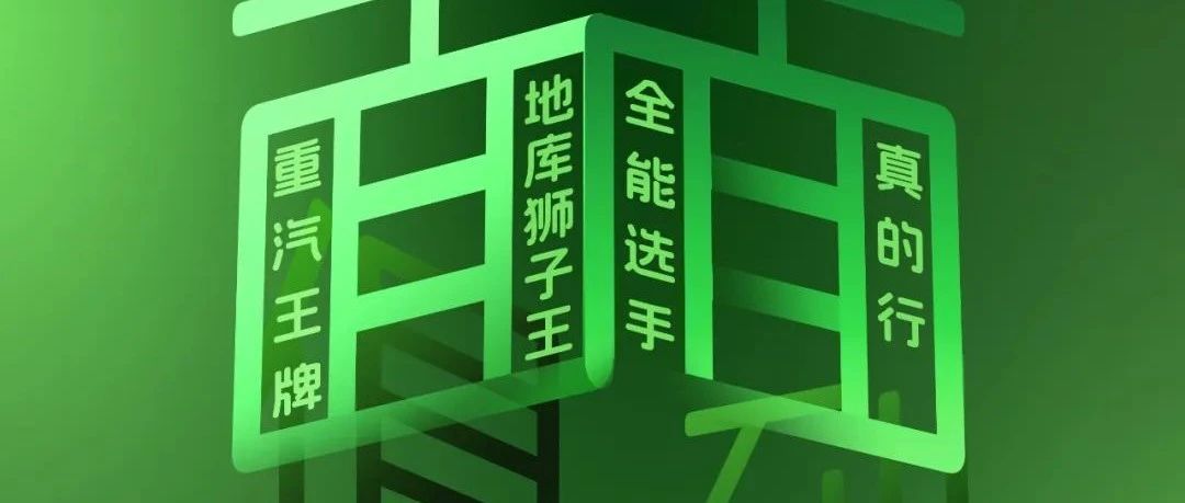 面面俱到，全能型选手地库狮子王