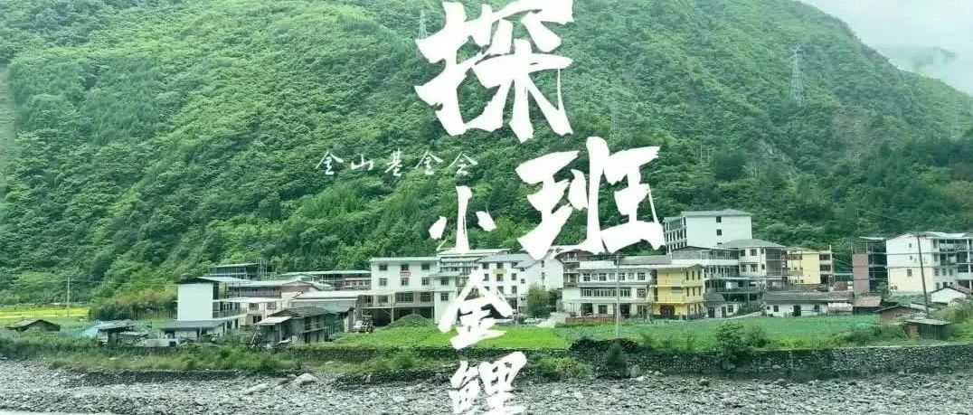 金山志愿者探班大山里的“小金鲤”