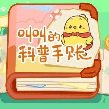 “叫叫的科普手账”来啦！有趣才有效，培养孩子主动学习力！