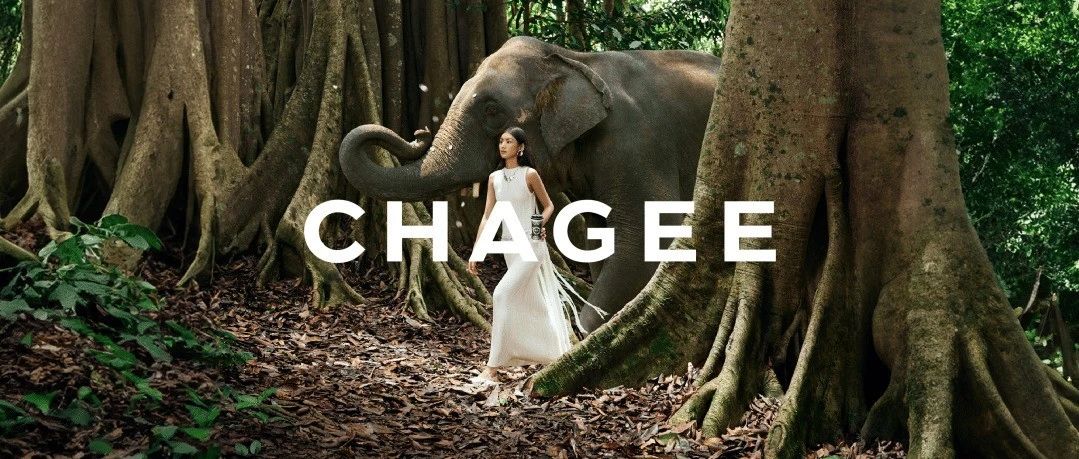 「山野栀子」与野共生｜全国清爽回归，1w+杯现代东方茶邀你共赴山野