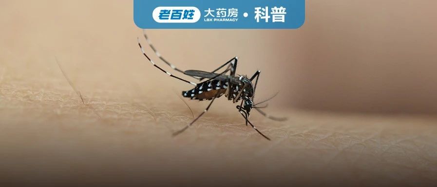 近期高发！这些病竟是蚊子惹的祸？3类人千万要注意，别被盯上！