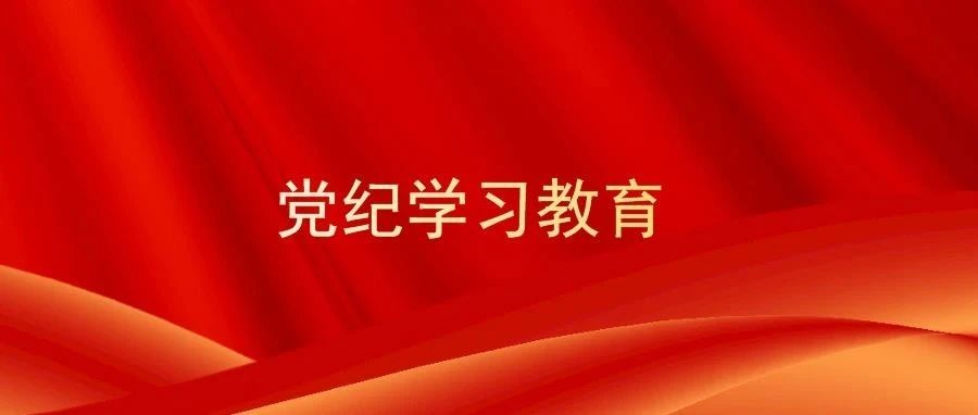 党纪学习教育 | 华迪公司第二党支部开展主题党日活动暨党纪学习教育专题会议