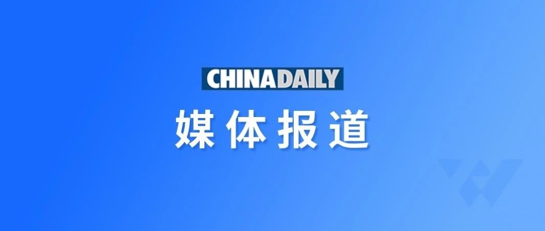 ChinaDaily中英双语报道中科闻歌董事长王磊在信息社会世界峰会发言