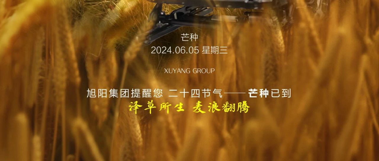 旭阳资讯 | 顺应汽车新四化，淬炼见“光”芒——芒种