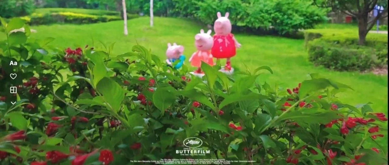 园区绿化最抚凡人心 | 探索哈尔滨江湾新城和富力城园区美景