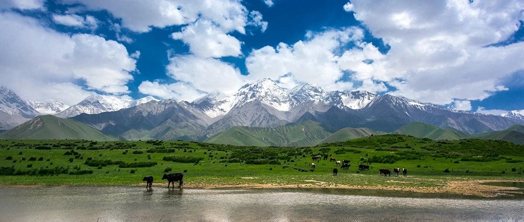 倍头条 | 一周内倍杰特成功竞得两处铜矿！