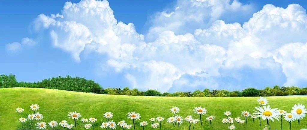 国家石油储备中心2024年度公开招聘公告