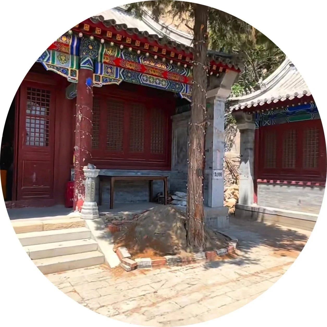 推荐！沉浸式打卡“圣水寺”｜周末游｜密云！小众！免费！