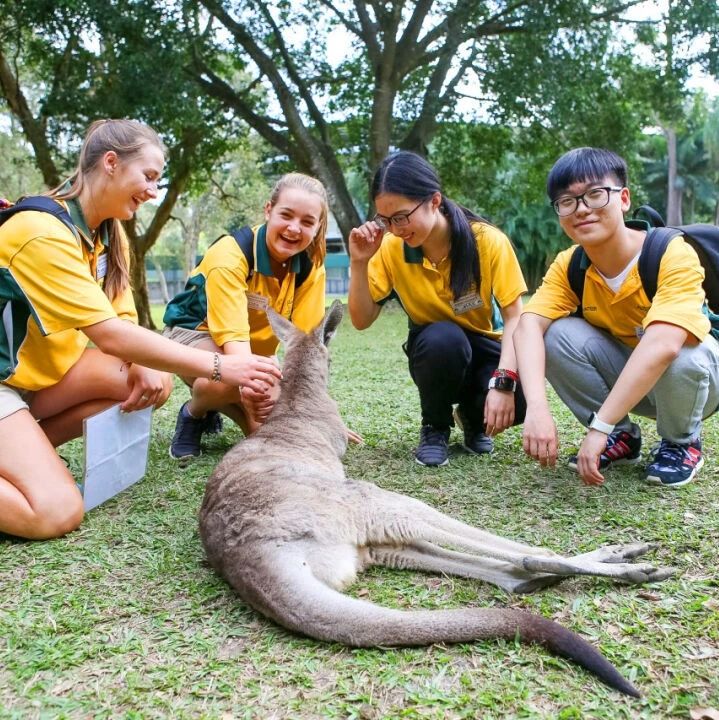 2024新东方游学夏令营报名正在进行中：少年行万里，同你看世界