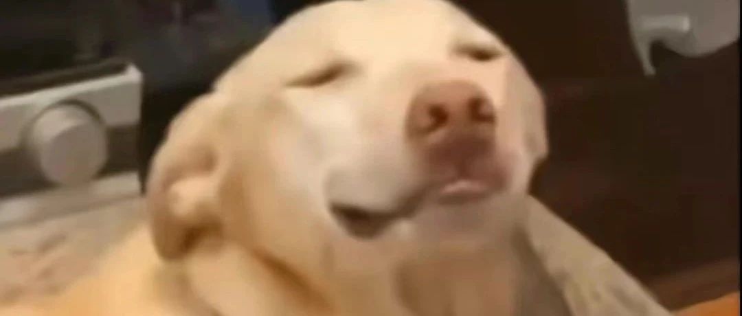 大学生为了毕业论文能有多生猛？网友：传媒学院做人物访谈访到了康辉本人……