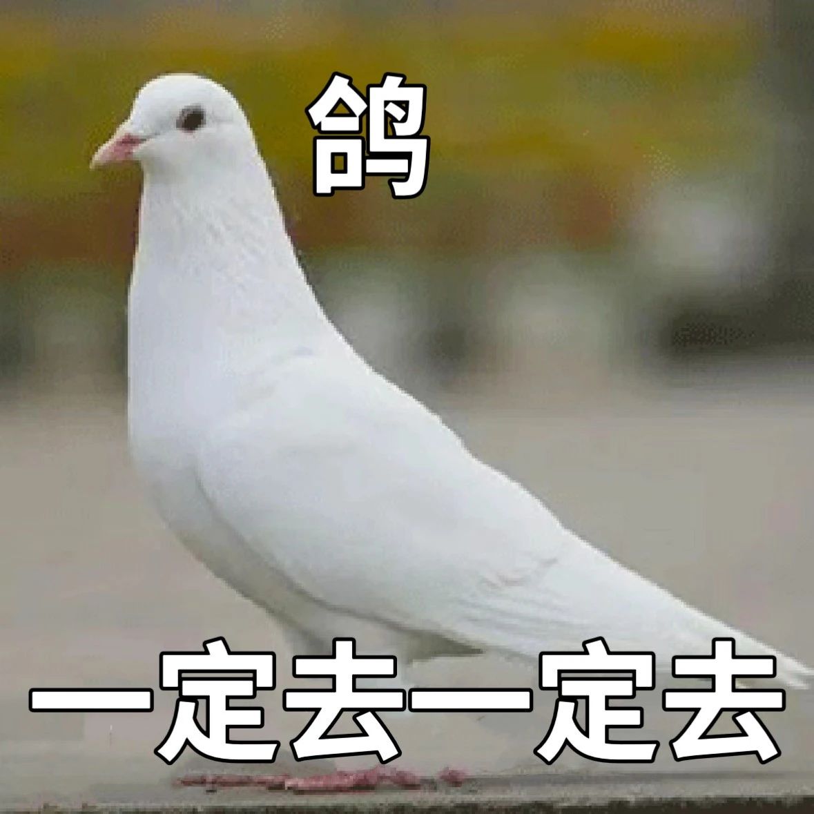 2024年新晋顶配人设，被这届爸妈狠狠拿捏