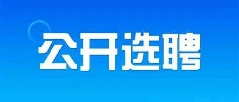 首届！公开选聘