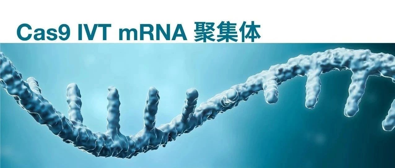 新进展！「体积排阻色谱法」分析Cas9 IVT mRNA聚集体