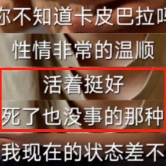 “土猪拱白菜”男孩人设崩塌，网友：考上985后，人生全是下坡路