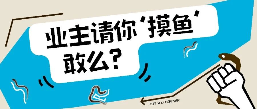 业主请你“摸鱼”，敢么？