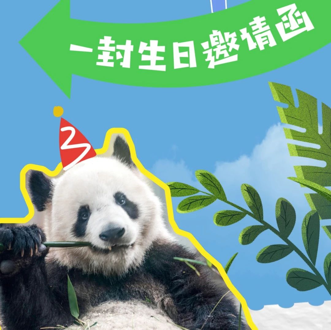 生日邀请函 | 星星，你是我们心中最亮的星