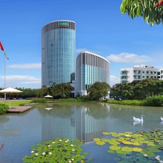 三棵树ESG实践取得显著成果，荣获多项A级评级认可