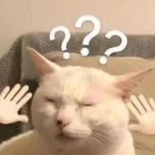 大学教师被家长逼改成绩，网友：世界已经发展成这样了？