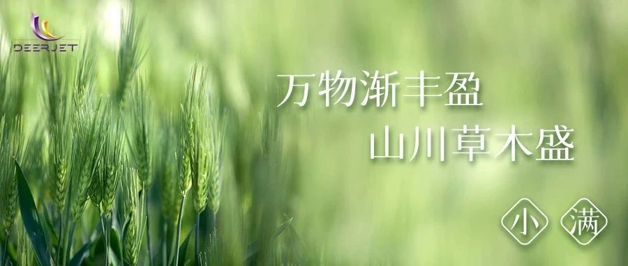 小满初盈正润,万物夏韵已浓