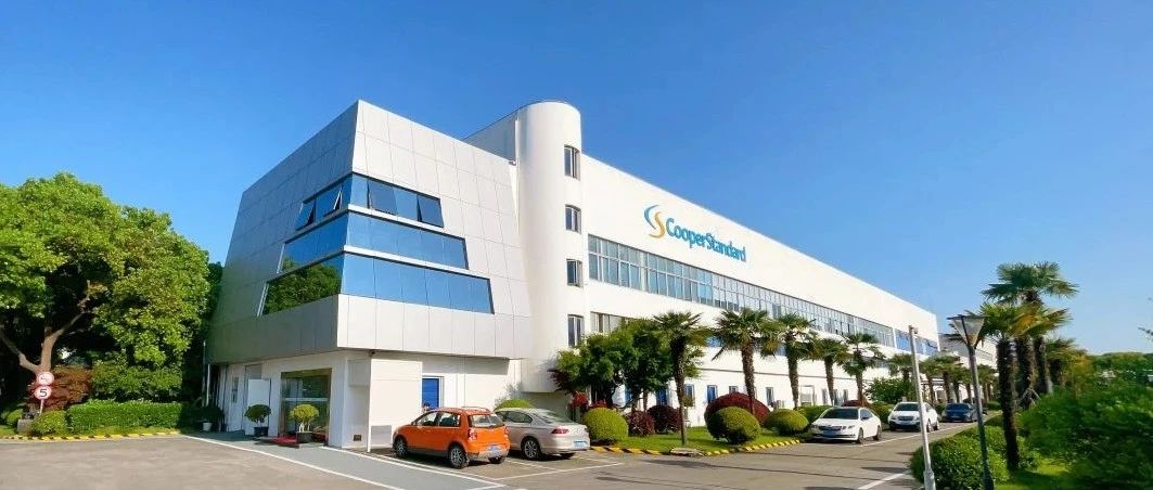 我的故事 | 逐梦之路，向新而行