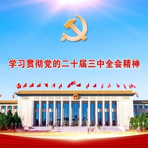 九个问题，解读二十届三中全会决定