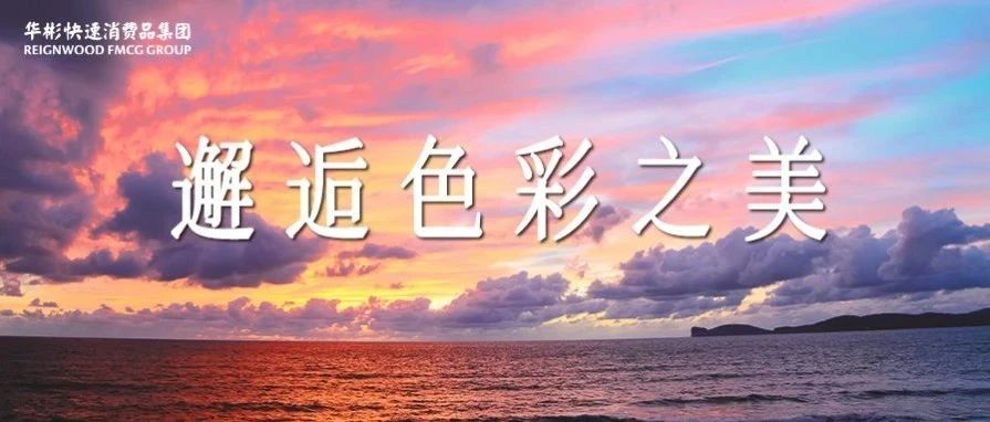 文末惊喜|揭晓生活的底色