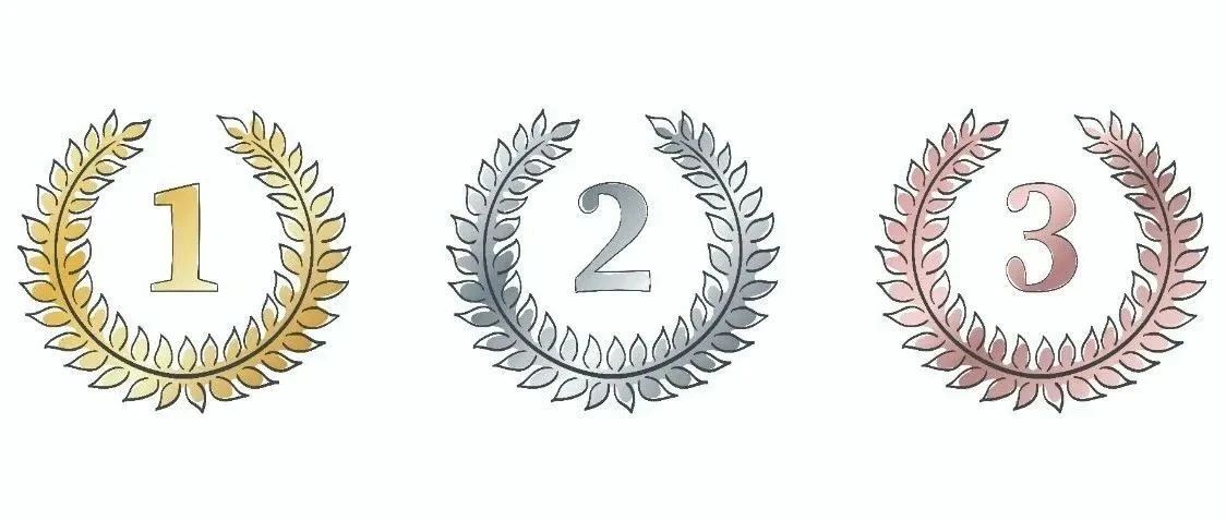 2024年H1上海杉杉蝉联人造负极榜首