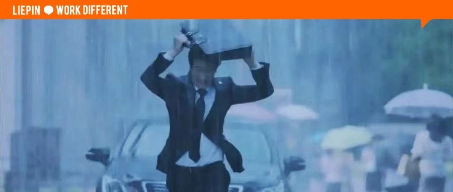 离职博主们，集体老老实实回去上班了