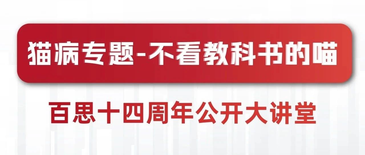 聚力同行 | 百思14周年第1期公开课 完满结束