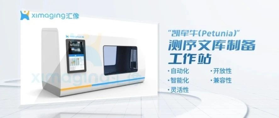 打破手动瓶颈，释放高通量潜能：汇像Petunia测序文库制备工作站