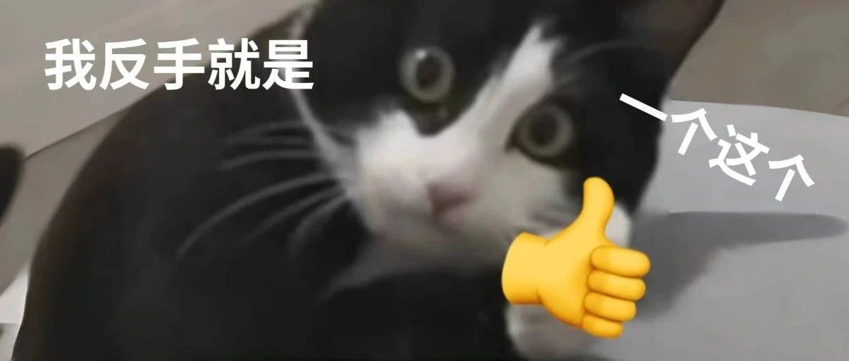 又一冷门神作出炉，“主角”名气享誉国际？网友：不可能打低分！