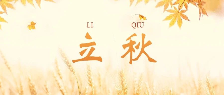 立秋| 厚积薄发，盈满收获