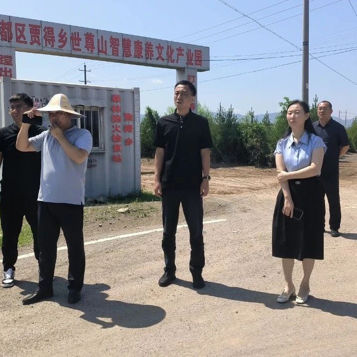 高新动态 | 赖兴国调研贾得新兴产业园道路框架的规划和建设工作