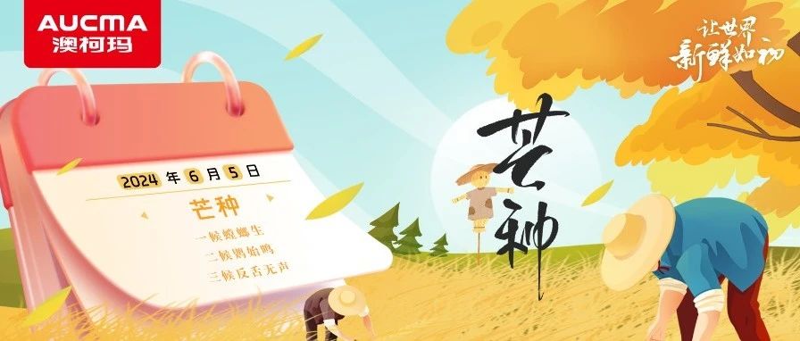 芒种丨时雨及芒种 四野皆插秧