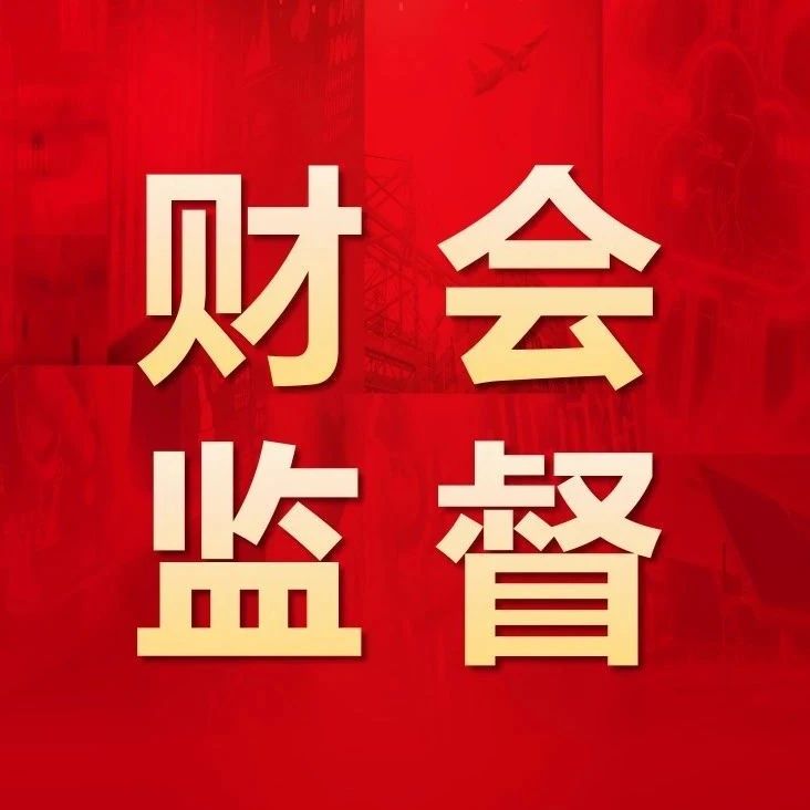 数智化财会监督 | 强化数智赋能 深化财会监督
