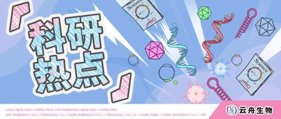 科研热点 | 揭秘疼痛的特异性免疫特征，云舟生物为中国、美国、英国等全球多家机构提供助力