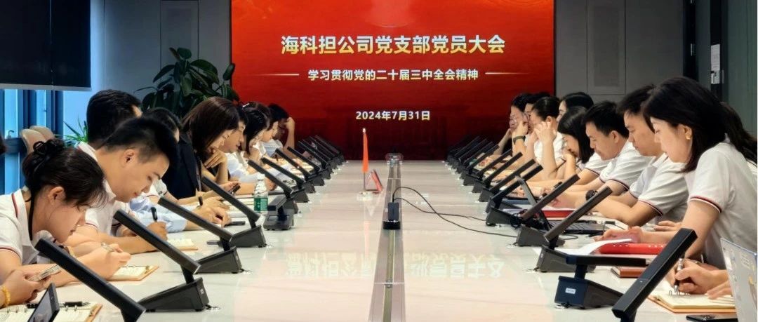 【海科金集团子公司动态】海科担党支部学习贯彻二十届三中全会精神—砥砺前行再出发