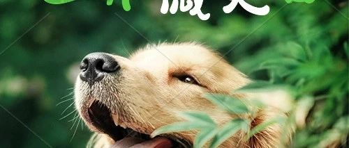 国际微笑日：快看！咱创造的这些优美弧线