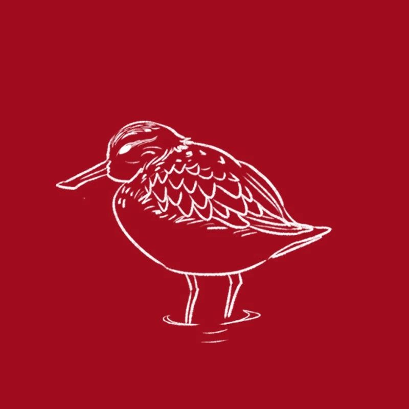 久久公益节 一块做好事