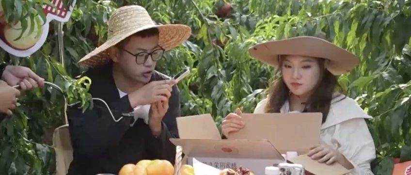 东方甄选7月工作汇报