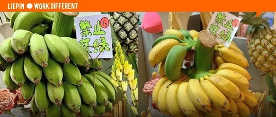 这届打工人的「种植DNA」，正在工位觉醒