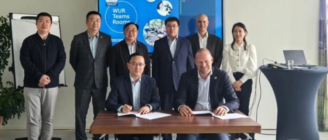 现代牧业与荷兰帝斯曼-芬美意公司就减少甲烷排放添加剂项目开展可持续发展领域合作