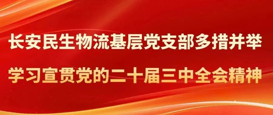 长安民生物流基层党支部多措并举学习宣贯党的二十届三中全会精神【CMAL大学习】
