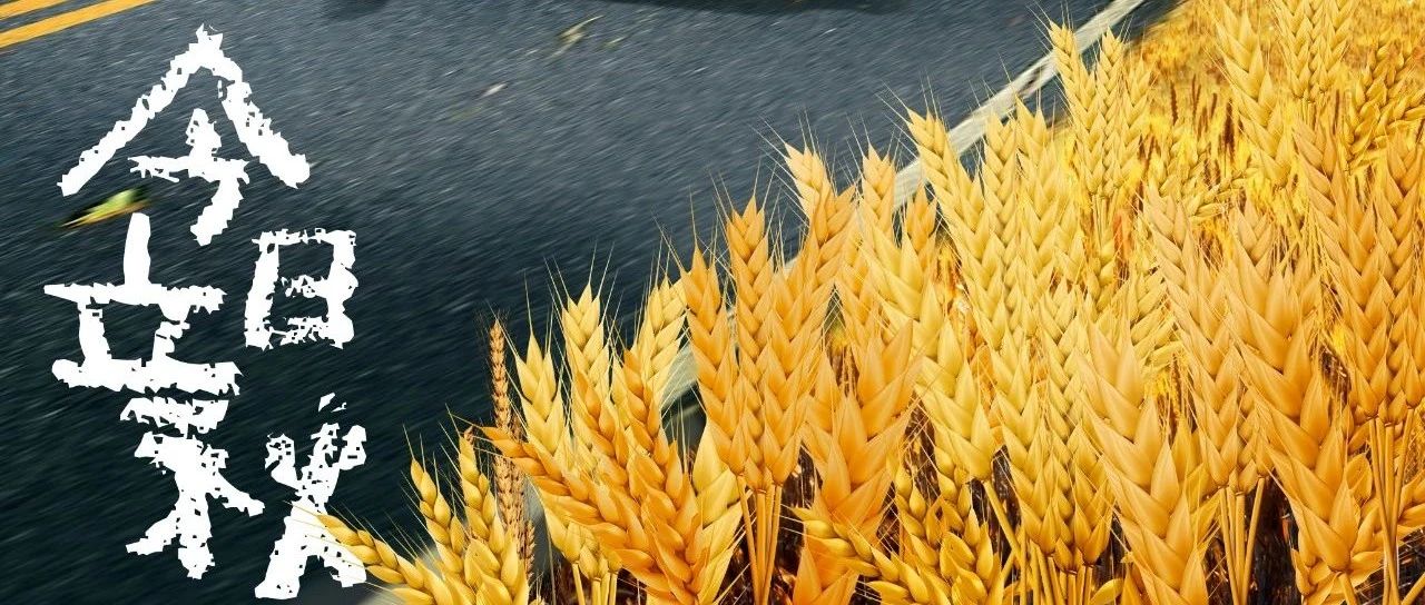 立于醇熟之境，奔赴希望之秋