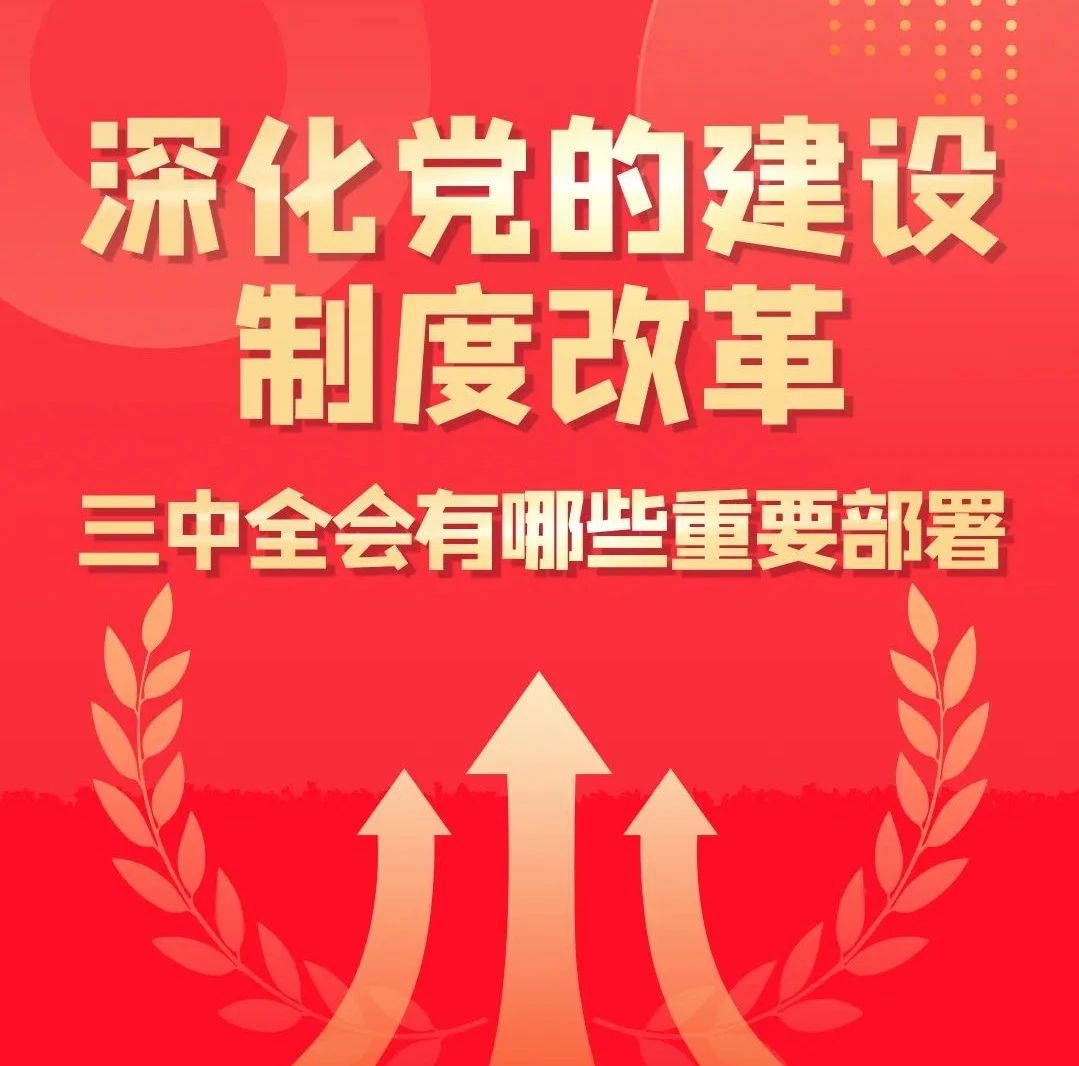 党建引领 | 深化党的建设制度改革，三中全会有哪些重要部署？