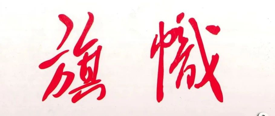 中国电建党委主要负责同志在《旗帜》刊发署名文章：在新征程上推动巡视工作向深拓展、向专发力、向下延伸