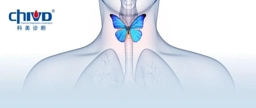 LiCA® TSH | 超敏精准，早见疗效